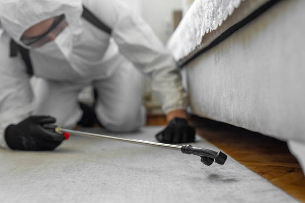 Professional Cockroach Control technician working in Westview, FL